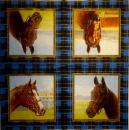 045 Horses - 3-ply (brown/cream) - Ihr